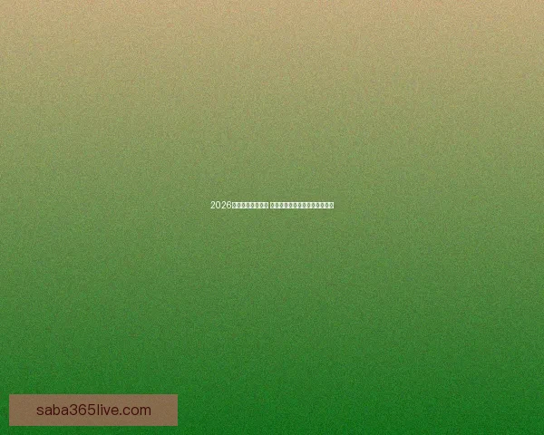 2026年世界杯即将开启 全球球迷期待盛大赛事精彩纷呈