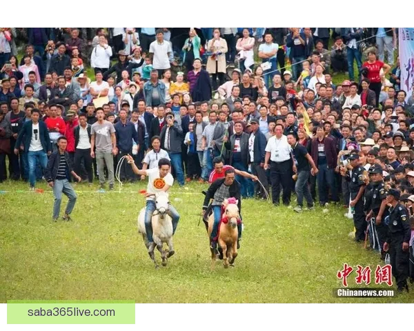 沙巴体育官网全新升级打造安全便捷娱乐体验引领线上体育互动时代